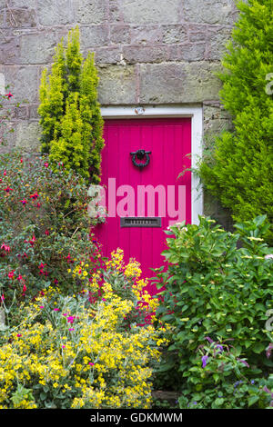 Pink front door to house number 10 at Gold Hill, Shaftesbury, Dorset in July Stock Photo