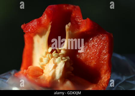 Red Pepper During Eating.  Red bell pepper while being eaten, close up. Inside of bell pepper while eating. Stock Photo