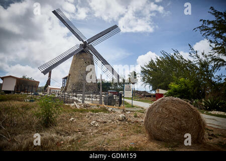 The Lesser Antilles Barbados Parish Saint Michael west indies capital Bridgetown  Barbados  Saint Andrew Morgan Lewis Windmill l Stock Photo