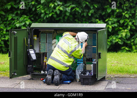 Openreach telephone and internet technician repairing a switch box, Scotland, UK Stock Photo