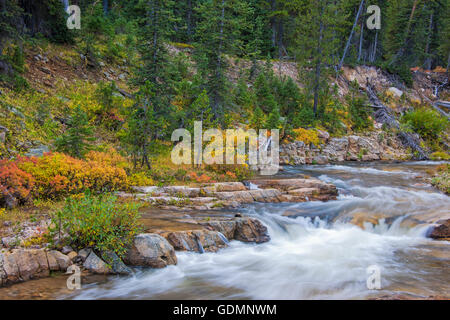 The Upper Provo River, Utah with fall colors. Stock Photo