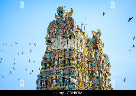 Doves flying around the Sri Meenakshi Sundareshwarar temple, Madurai, Tamil Nadu, South India, India Stock Photo