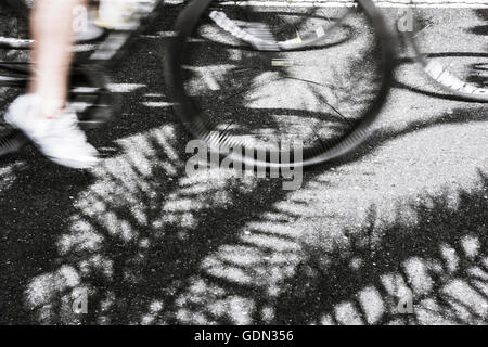 Cyclist riding over palm tree shadow on road Stock Photo