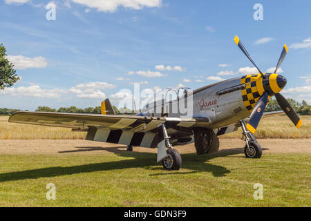 Restored airworthy P-51D Mustang American fighter aeroplane at the hardwick warbirds hardwick airfield Stock Photo