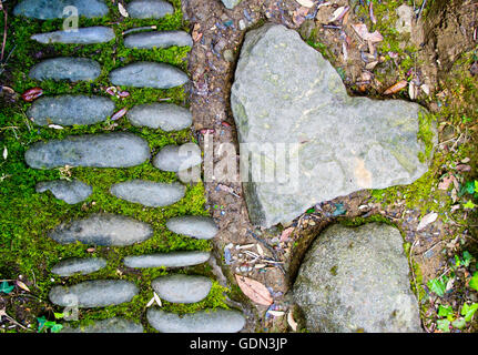heart-shaped stone is forever in the woods on the side of a path formed by old stones covered with moss