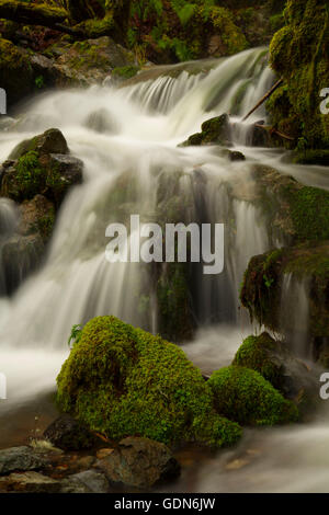 Blue Canyon Creek, Hellgate-Galice National Backcountry Byway, Rogue Wild and Scenic River, Oregon Stock Photo