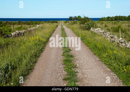 Summer view at a gravel road to the coast at the swedish island Oland in the Baltic Sea Stock Photo