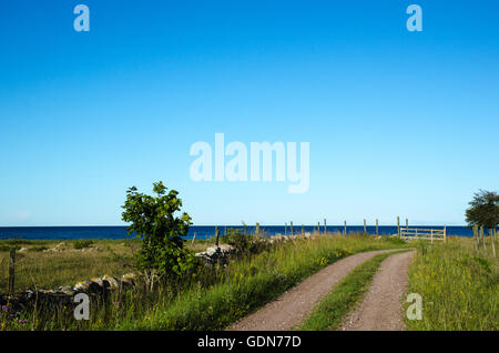 Narrow country road to an old wooden gate by the coast at the swedish island Oland Stock Photo