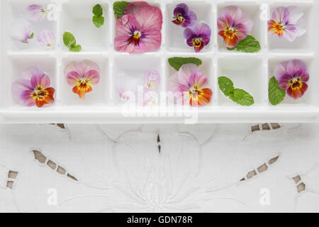 Edible flowers and mint in ice cubes tray on white vintage linen background Stock Photo