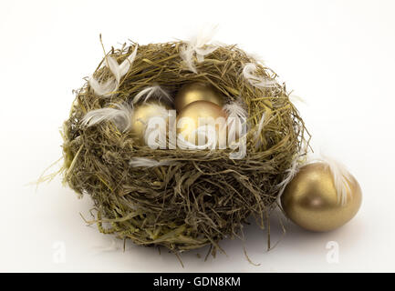 Four gold nest eggs isolated on white Stock Photo