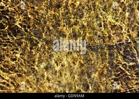 Ywlloe water background Stock Photo