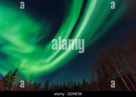 Aurora borealis, Northern Lights near Chena Resort, near Fairbanks, Alaska Stock Photo