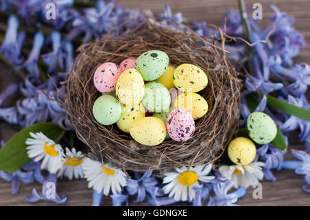 Different color Easter eggs in a nest among flowers Stock Photo