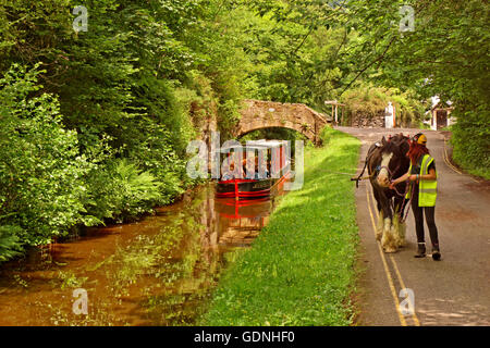 Horse drawn tourism barge on the upper Llangollen Canal near the Horseshoe Falls at Llangollen, Denbighshire, Wales Stock Photo