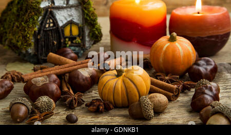 Autumn decoration with pumpkins, candles,acorns, fairy house  on wooden background Stock Photo
