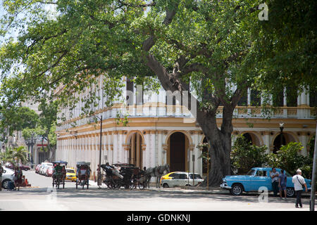 Steet scene with classic car, horse and carriage, and rickshaws in downtown Habana Vieja, Havana, Cuba Stock Photo