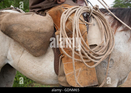 Cowboy with lasso rope on a horse in Cuba Stock Photo