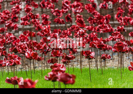A field of poppies at the Weeping Window display at the Black Watch Museum in Perth Scotland Stock Photo