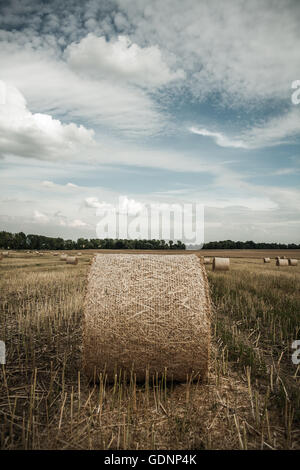 Straw roll on a field under partly cloudy skies Stock Photo