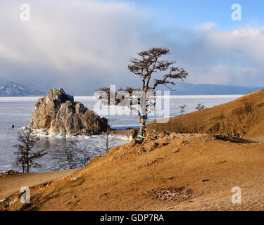 View of tree and Shamanka Rock on Burkhan Cape, Baikal Lake, Olkhon Island, Siberia, Russia Stock Photo