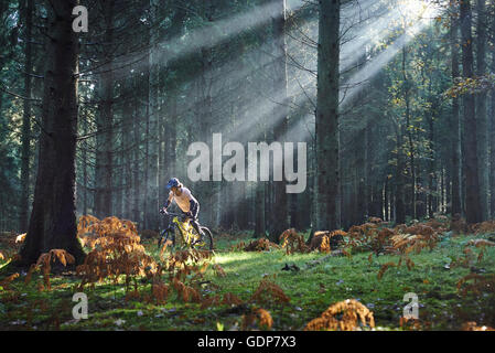 Female mountain biker cycling through sunbeams in the Forest of Dean, Bristol, UK Stock Photo