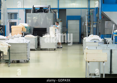 Man working in launderette sorting laundry Stock Photo