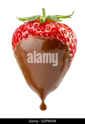 strawberry in chocolate isolated on the white background. Stock Photo