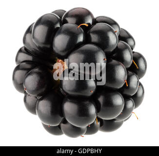 blackberry isolated on the white background. Stock Photo