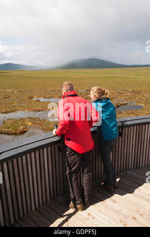 Young couple looking over peatland pools from the viewing tower on the RSPB Dubh Lochan Trail, Forsinard, Sutherland, Scotland.