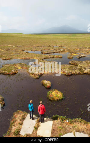 Young couple exploring peatland pools on the RSPB Dubh Lochan Trail at Forsinard, Sutherland, Scotland. Stock Photo