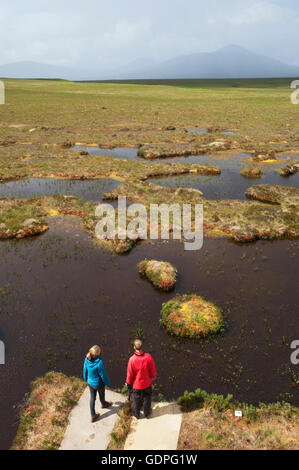 Young couple exploring peatland pools on the RSPB Dubh Lochan Trail at Forsinard, Sutherland, Scotland. Stock Photo