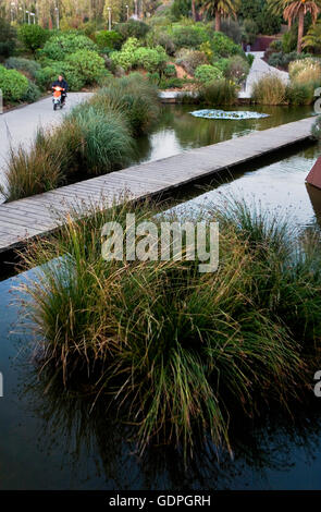 Barcelona Botanical Garden, Barcelona, Spain Stock Photo