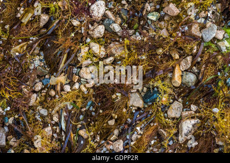 sea and ocean beach with sand Stock Photo