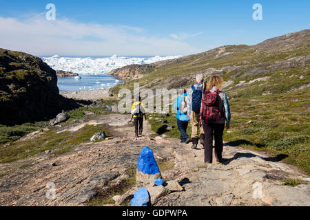 Hikers hiking on blue trail hike to Holms Bakke by Ilulissat Icefjord with icebergs in fjord in summer. Ilulissat West Greenland Stock Photo