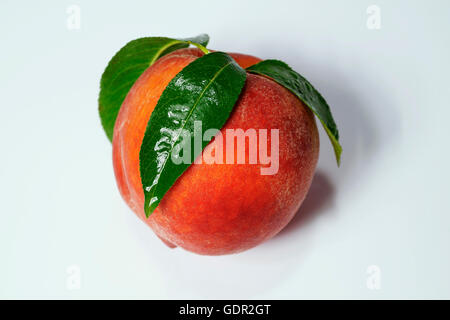 Ripe peach fruit with green leafs isolated on white background Stock Photo