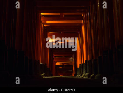 Night view at tunnel of torii gates at Fushimi Inari shrine in Kyoto ...