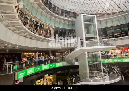 Crowds of drooling lunch time burger lovers line up at the newly opened Shake Shack restaurant in the Fulton Center in Lower Manhattan in New York on Monday, July 18, 2016. (© Richard B. Levine) Stock Photo