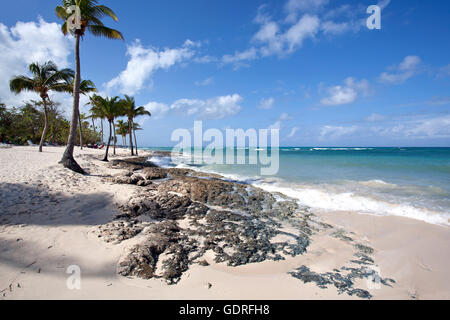 Cristal blue sea and palm trees on the beach Playa Guardalavaca, Holguin Province, Cuba Stock Photo