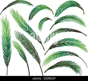 Set of green leaves illustration Stock Vector Image & Art - Alamy