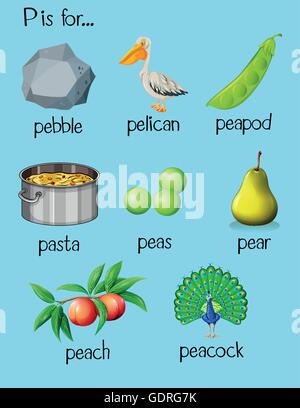 Many words begin with letter P illustration Stock Vector