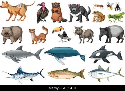 Set of different types of wild animals illustration Stock Vector