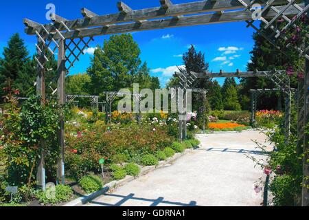 geography / travel, Germany, Bavaria, Bad Woerishofen, spa gardens, rose garden, , Additional-Rights-Clearance-Info-Not-Available Stock Photo