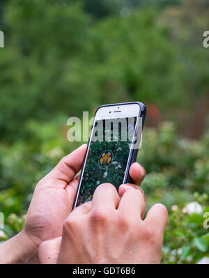 Columbus, Ohio, USA, 21 July 2016: Close up of hands  playing Pokemon Go on mobile phone screen at the Park of Roses. Pokemon Go is a location based augmented reality mobile game developed by Niantic Labs using the popular Nintendo video game action figures. Credit:  2016 Marianne A. Campolongo/Alamy Live News. Stock Photo