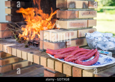 Sausages on the barbecue grill with flames Stock Photo by ©alexraths  101170148