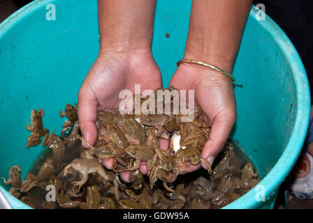 The image of  Frogs for food sale in Kohima market, Nagaland, India Stock Photo