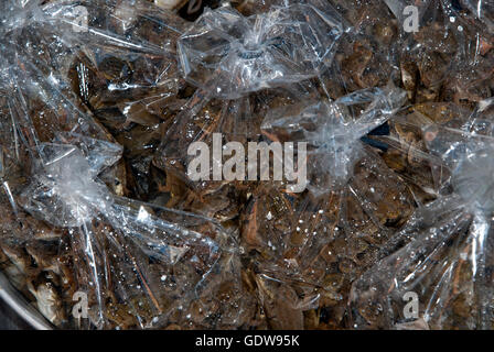 The image of  Frogs for food sale in Kohima market, Nagaland, India Stock Photo