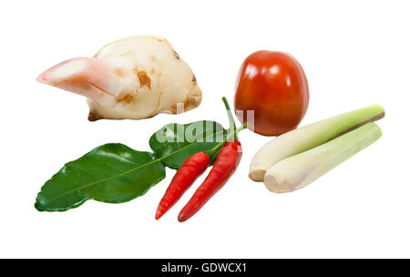 group of Tomyum(Thai food) seasoning ingredients Stock Photo