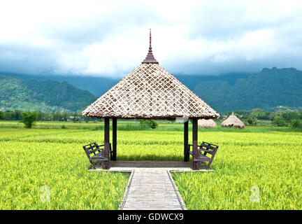 hut  in Green rice field in Thailand Stock Photo