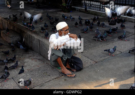 Man and pigeons Stock Photo
