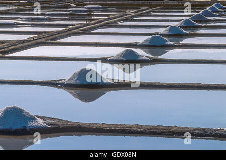 salt marshes, Guérande Stock Photo